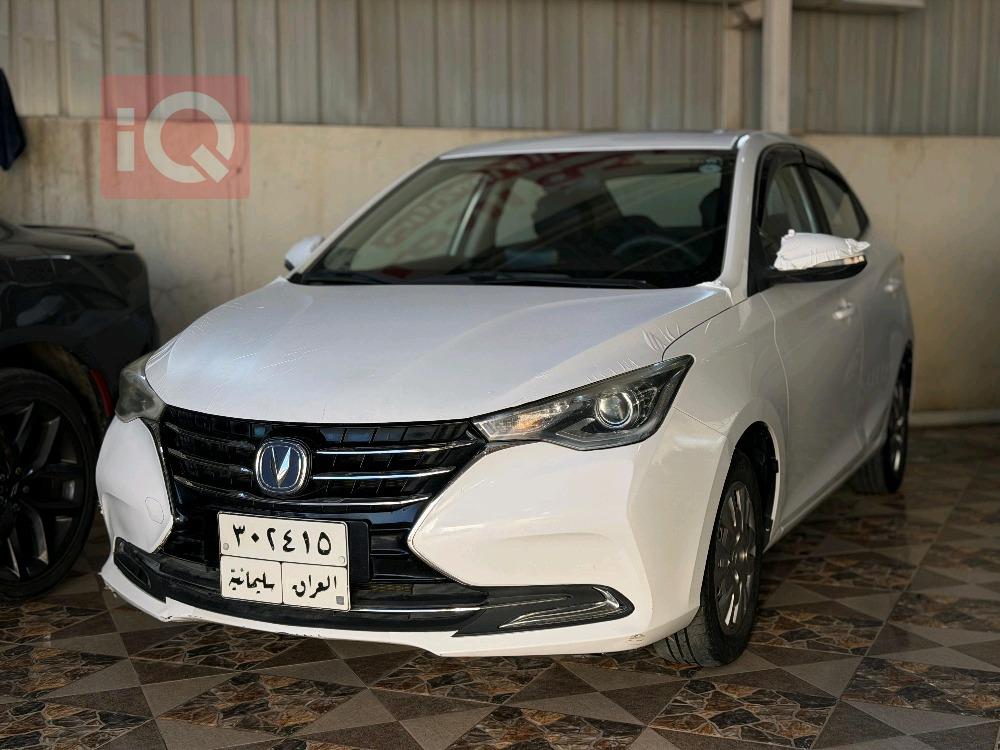 شانجان السفن